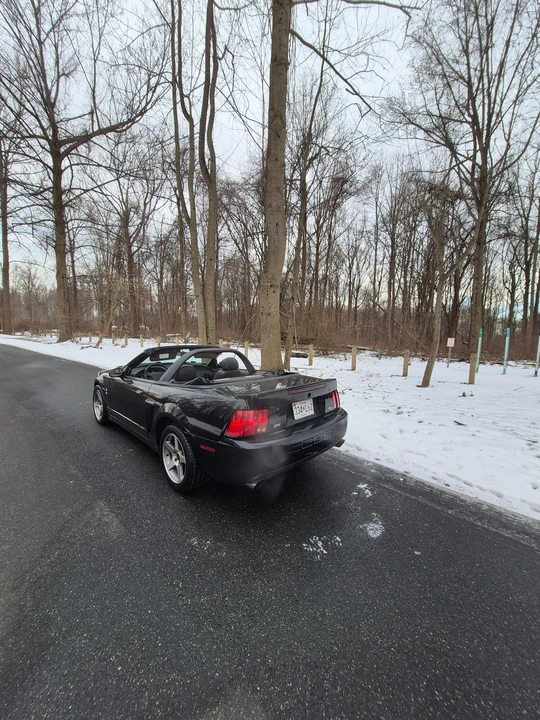 2003 Ford SN95 Mustang Cobra - Image 10 of 31