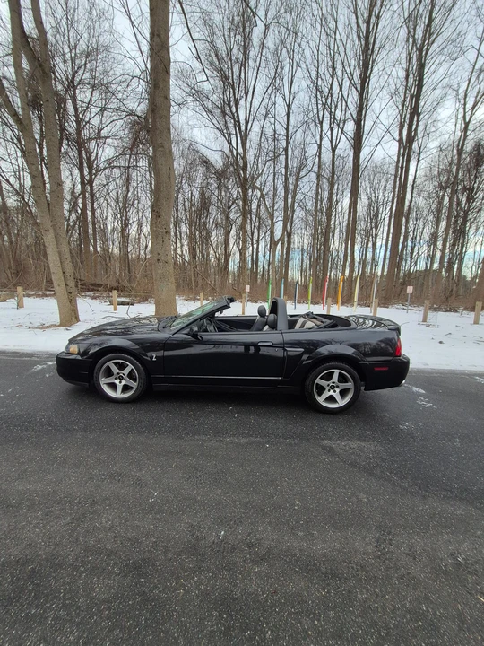 2003 Ford SN95 Mustang Cobra - Image 8 of 31