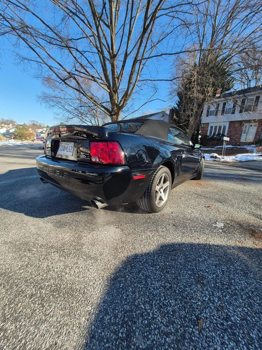 2003 Ford SN95 Mustang Cobra - Image 14 of 31