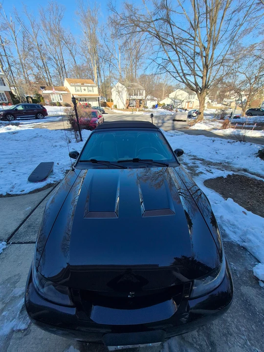 2003 Ford SN95 Mustang Cobra - Image 28 of 31
