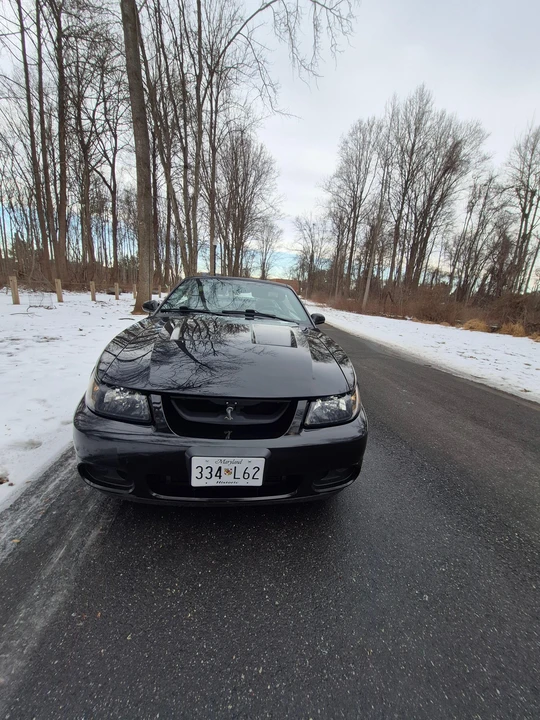 2003 Ford SN95 Mustang Cobra - Image 6 of 31