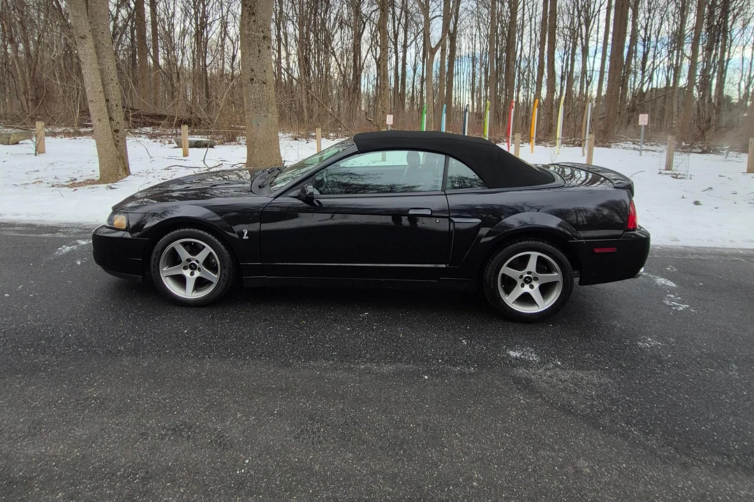 2003 Ford SN95 Mustang Cobra - Image 9 of 31