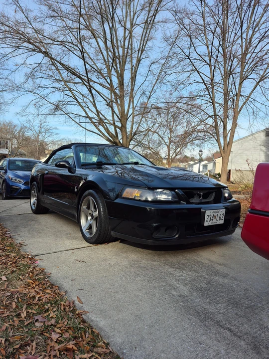 2003 Ford SN95 Mustang Cobra - Image 22 of 31