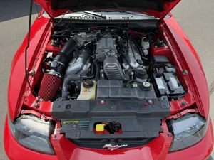 2003 Ford SN95 Mustang Cobra - Image 13 of 18