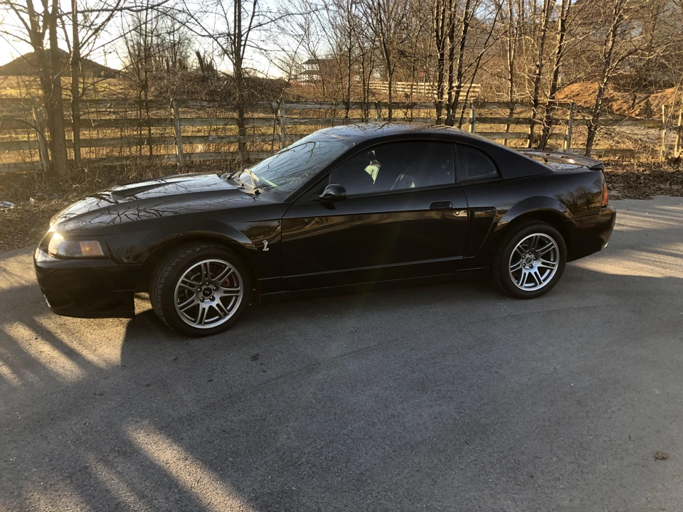 2003 Ford SN95 Mustang Cobra - Image 12 of 31