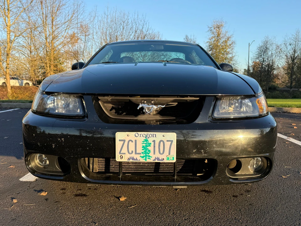 2003 Ford SN95 Mustang Cobra - Image 6 of 31