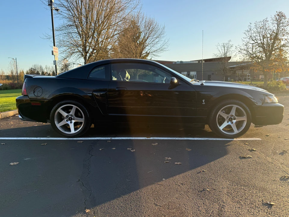 2003 Ford SN95 Mustang Cobra - Image 13 of 31