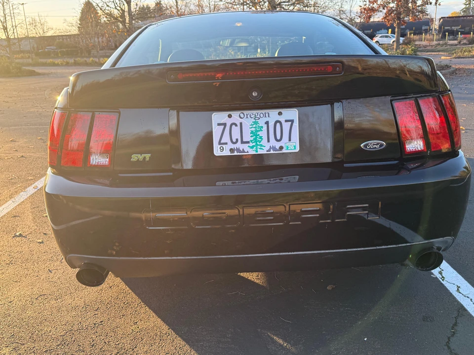 2003 Ford SN95 Mustang Cobra - Image 10 of 31