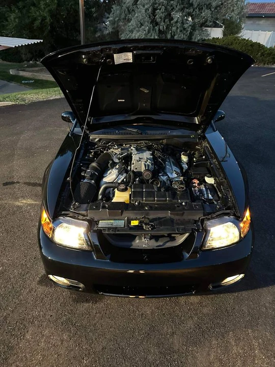 2003 Ford SN95 Mustang Cobra - Image 4 of 9