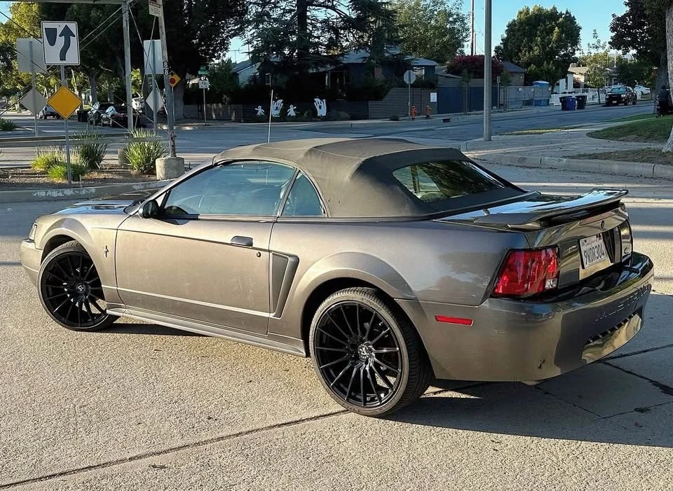2003 Ford SN95 Mustang - Image 3 of 10