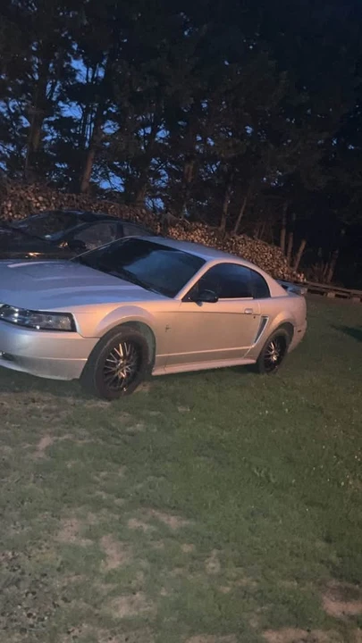 2003 Ford SN95 Mustang - Image 5 of 5