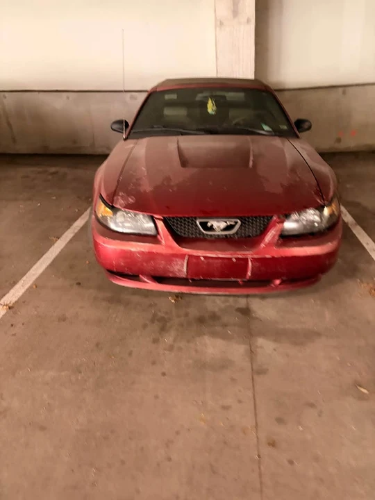 2003 Ford SN95 Mustang - Image 6 of 7