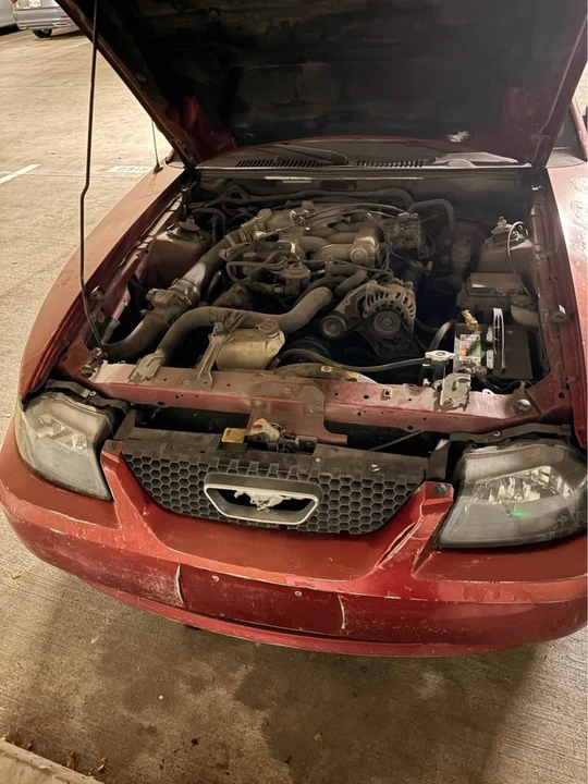 2003 Ford SN95 Mustang - Image 2 of 7