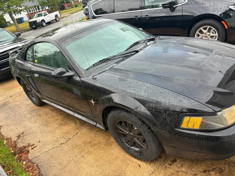 2003 Ford SN95 Mustang - Image 10 of 11