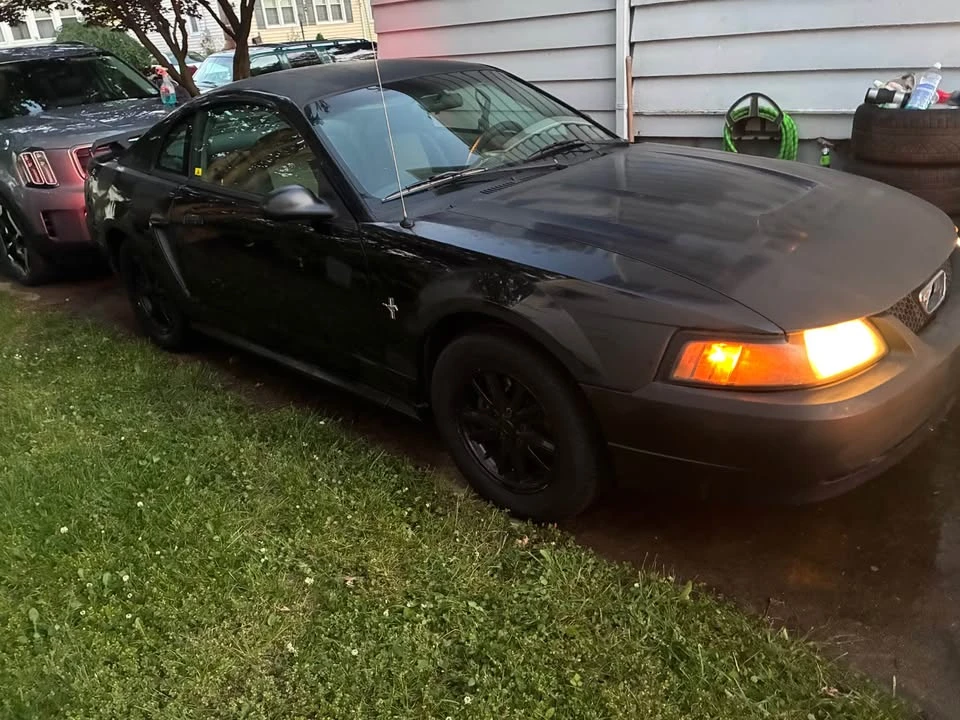 2003 Ford SN95 Mustang - Image 2 of 11