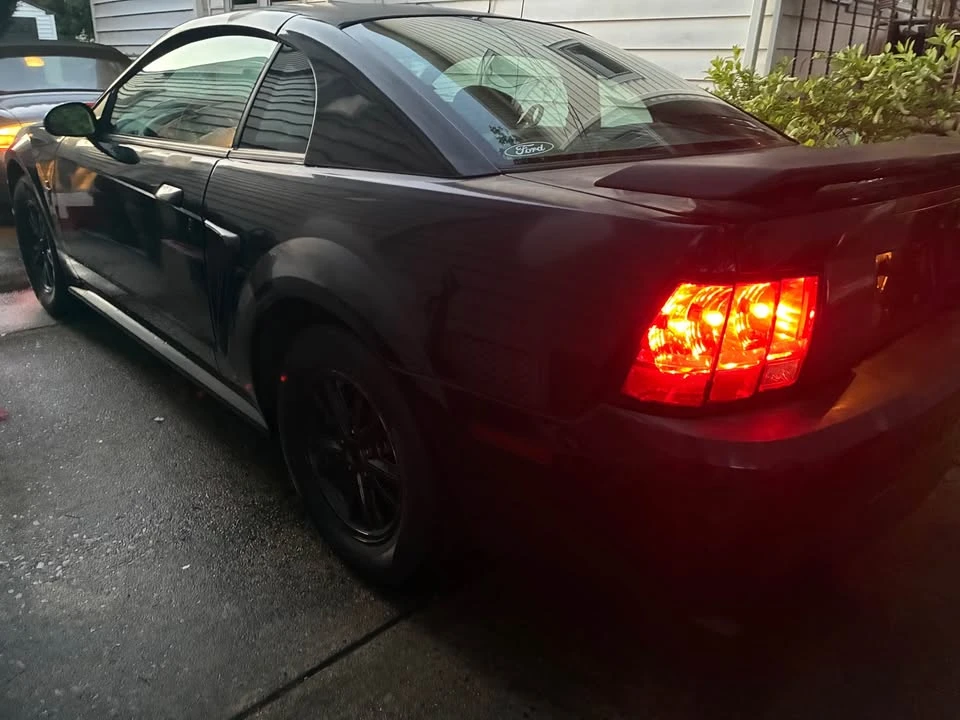 2003 Ford SN95 Mustang - Image 4 of 11
