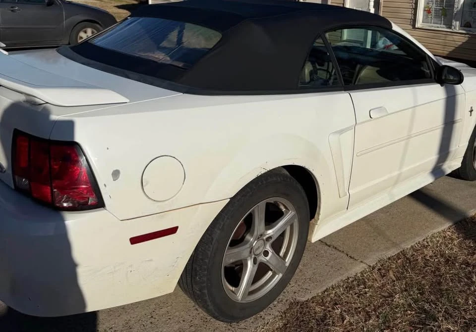 2003 Ford SN95 Mustang - Image 3 of 5
