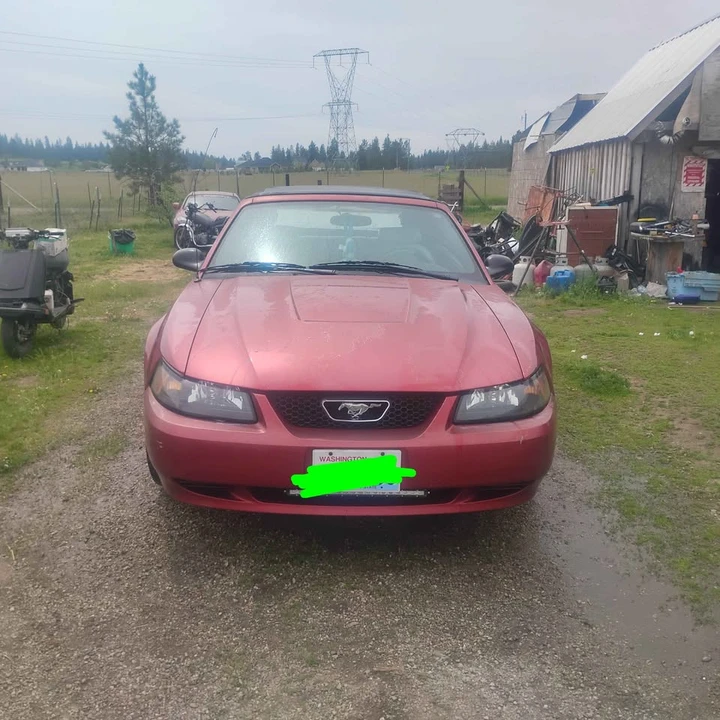 2003 Ford SN95 Mustang - Image 2 of 4