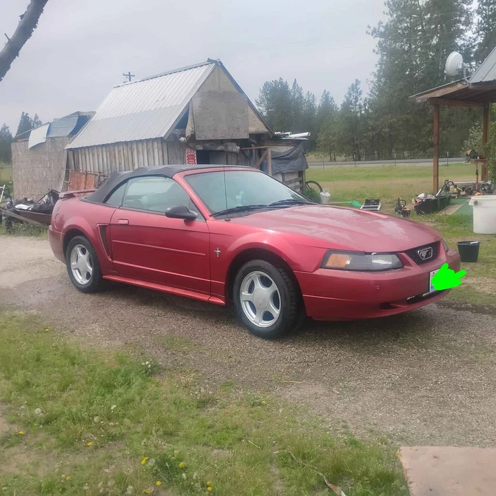 2003 Ford SN95 Mustang - Image 3 of 4