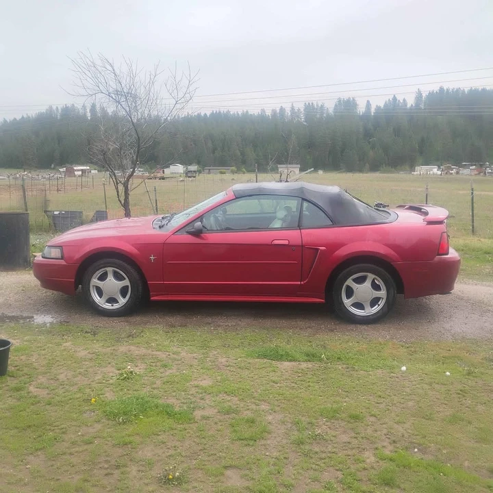 2003 Ford SN95 Mustang - Image 4 of 4