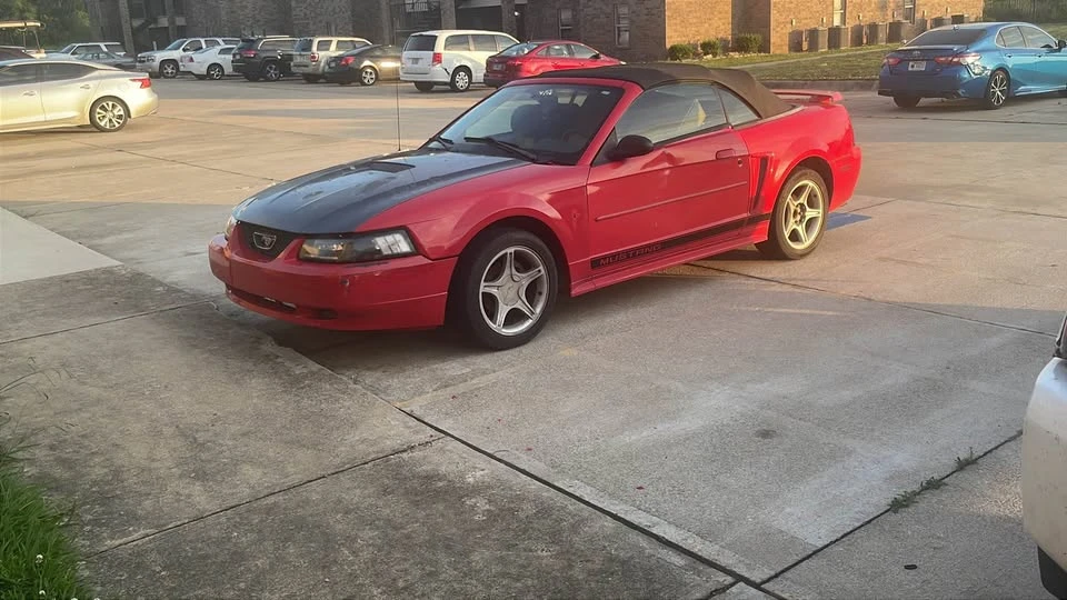 2003 Ford SN95 Mustang - Image 2 of 3