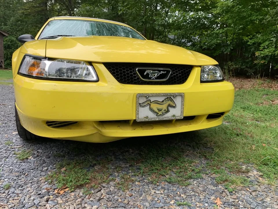 2003 Ford SN95 Mustang - Image 4 of 19