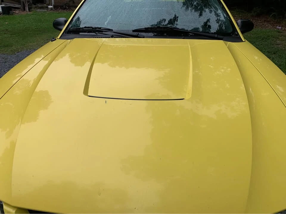2003 Ford SN95 Mustang - Image 5 of 19