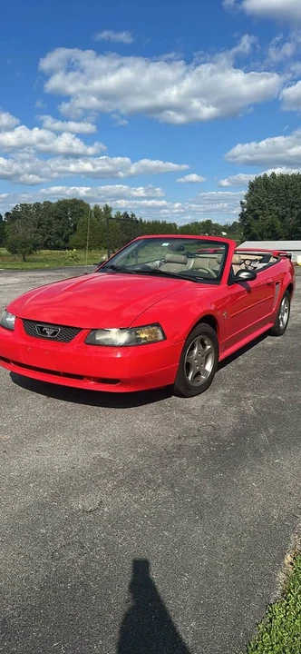 2003 Ford SN95 Mustang - Image 2 of 11