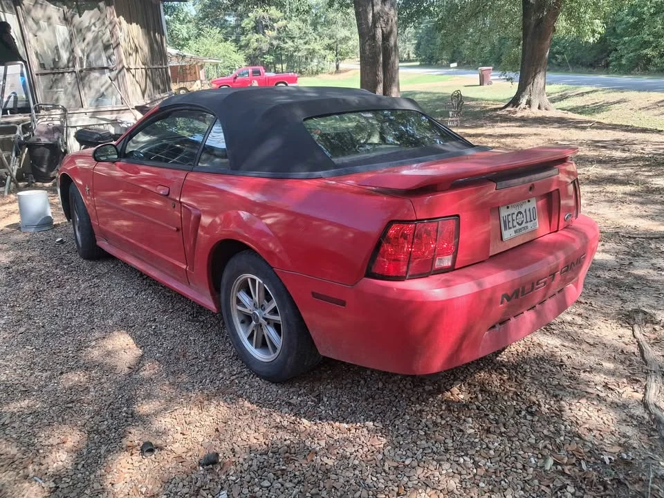 2003 Ford SN95 Mustang - Image 2 of 6