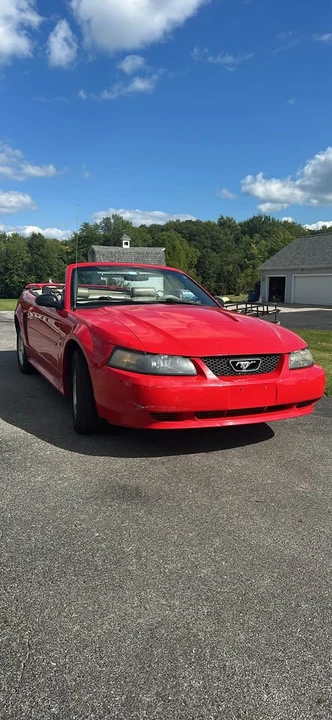 2003 Ford SN95 Mustang - Image 3 of 11