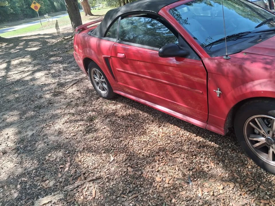 2003 Ford SN95 Mustang - Image 4 of 6