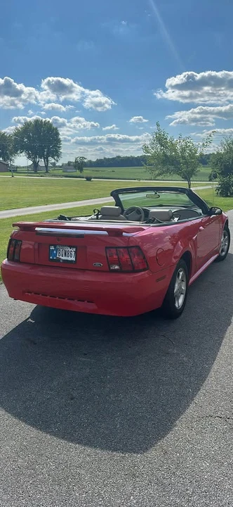 2003 Ford SN95 Mustang - Image 4 of 11