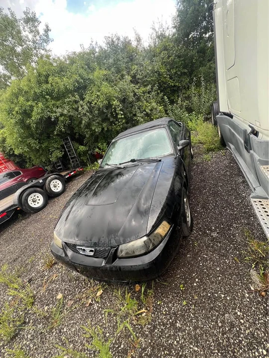 2003 Ford SN95 Mustang - Image 2 of 5