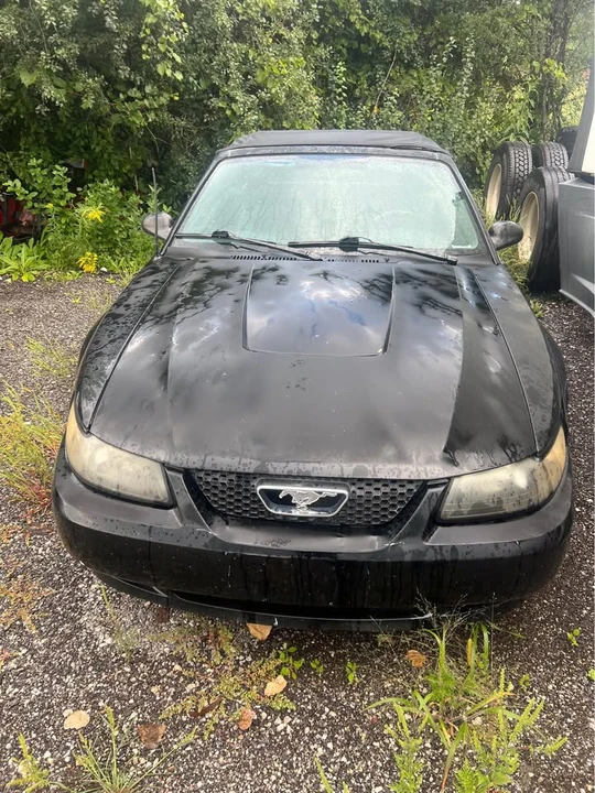 2003 Ford SN95 Mustang - Image 3 of 5