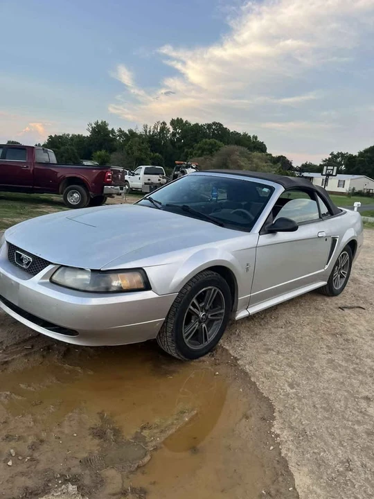 2003 Ford SN95 Mustang - Image 2 of 5