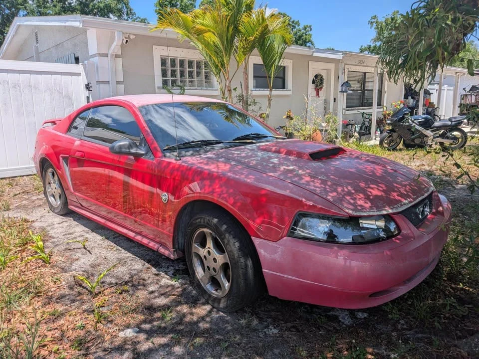 2003 Ford SN95 Mustang - Image 2 of 7