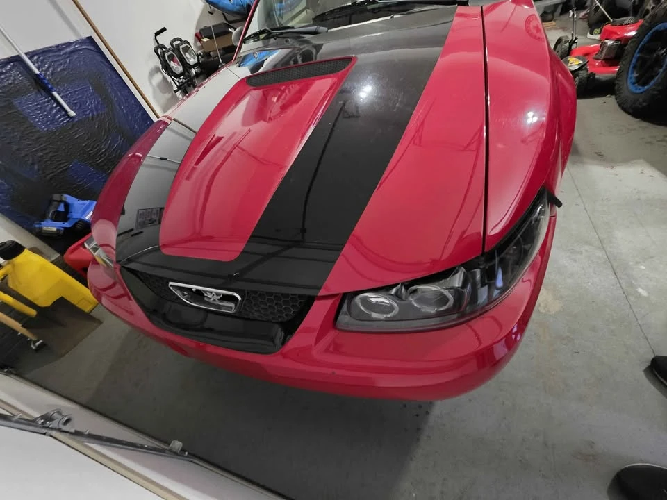 2003 Ford SN95 Mustang - Image 2 of 7