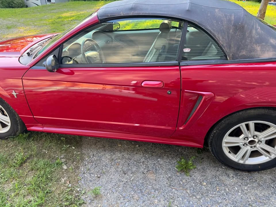 2003 Ford SN95 Mustang - Image 7 of 11