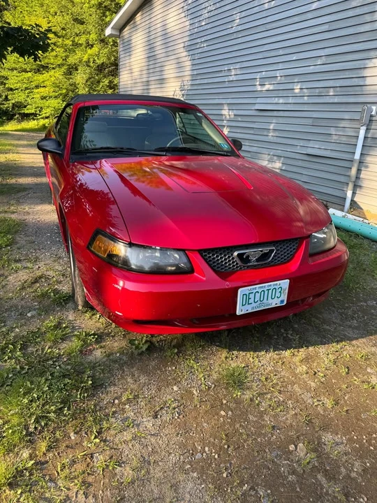 2003 Ford SN95 Mustang - Image 11 of 11