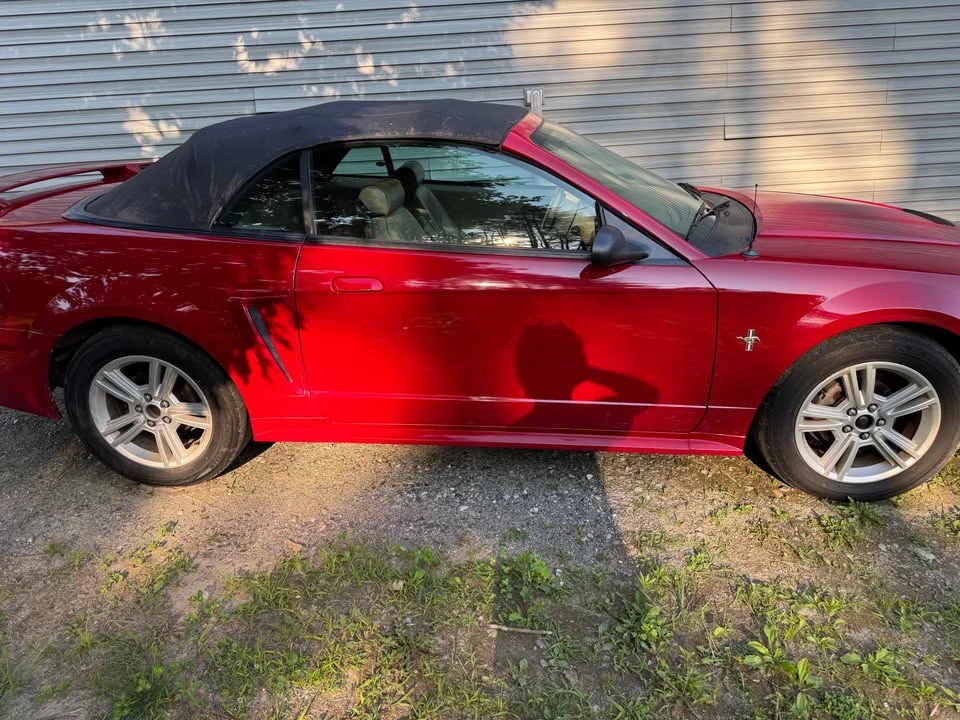 2003 Ford SN95 Mustang - Image 9 of 11