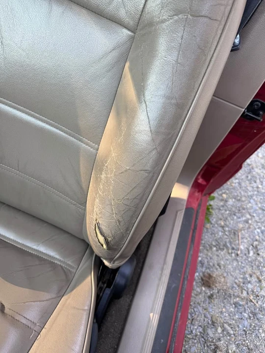 2003 Ford SN95 Mustang - Image 3 of 11