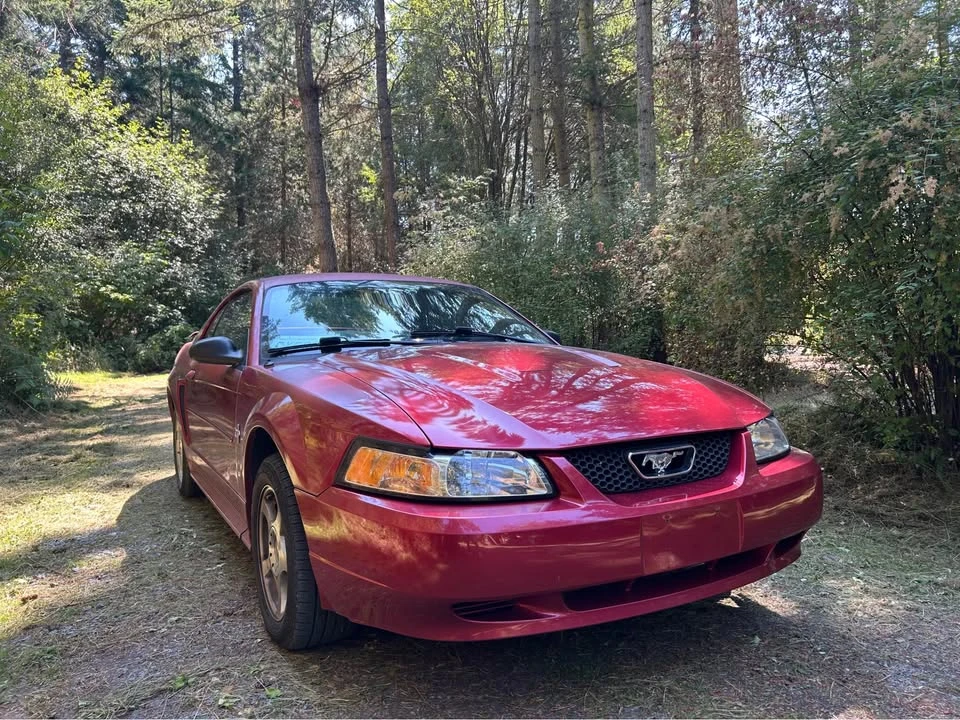 2003 Ford SN95 Mustang - Image 6 of 6