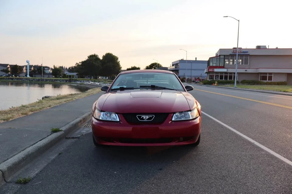 2003 Ford SN95 Mustang - Image 4 of 6