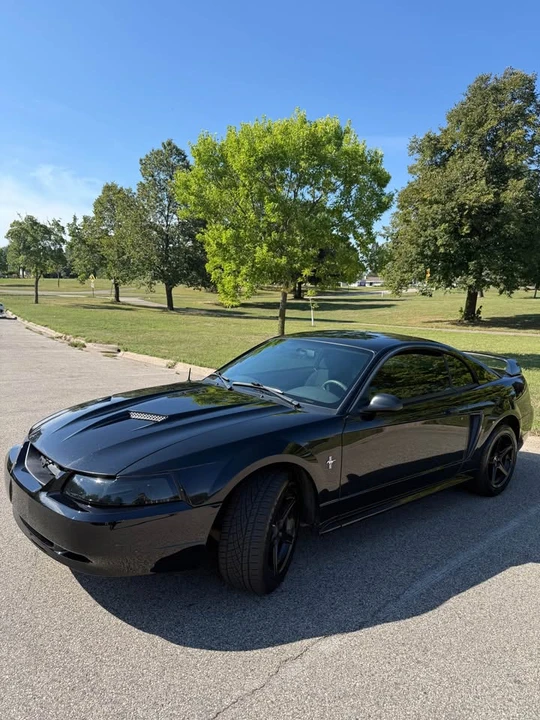 2003 Ford SN95 Mustang - Image 2 of 20