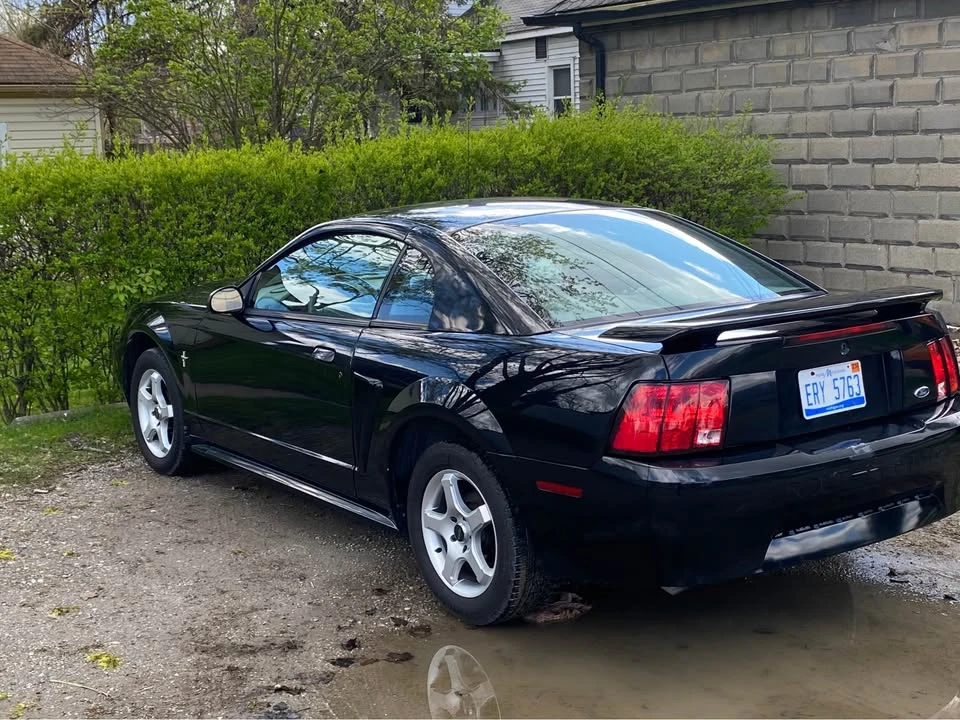 2003 Ford SN95 Mustang - Image 4 of 8