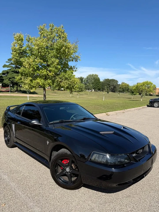2003 Ford SN95 Mustang - Image 10 of 20