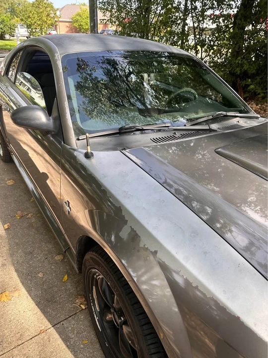 2003 Ford SN95 Mustang - Image 15 of 19