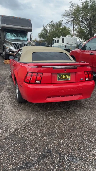 2003 Ford SN95 Mustang - Image 4 of 5