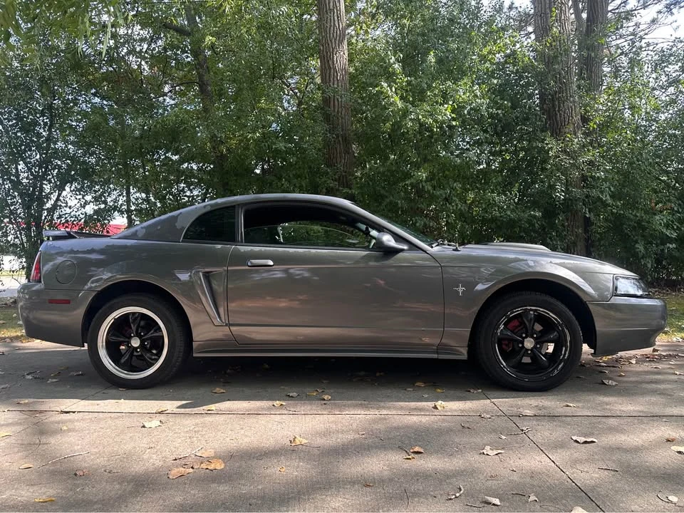 2003 Ford SN95 Mustang - Image 8 of 19