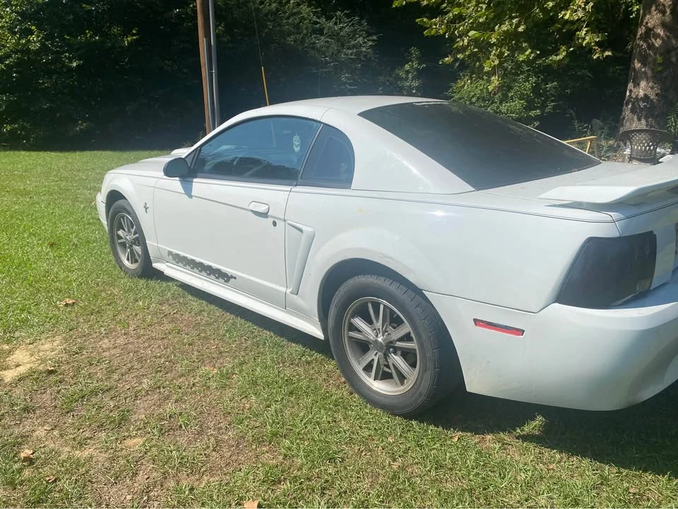 2003 Ford SN95 Mustang - Image 2 of 5